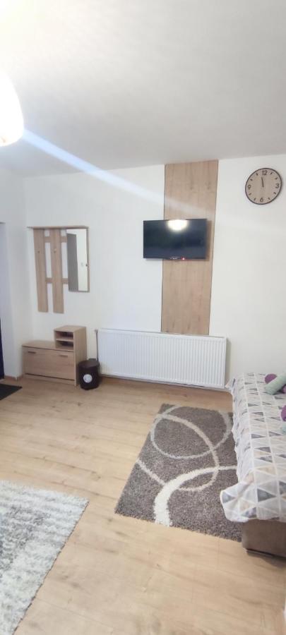 Zen Apartmani 즈레냐닌 외부 사진