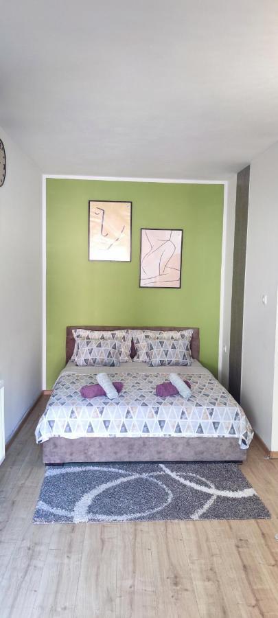 Zen Apartmani 즈레냐닌 외부 사진